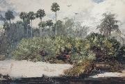 Winslow Homer In a Florida Jungle (mk44) oil